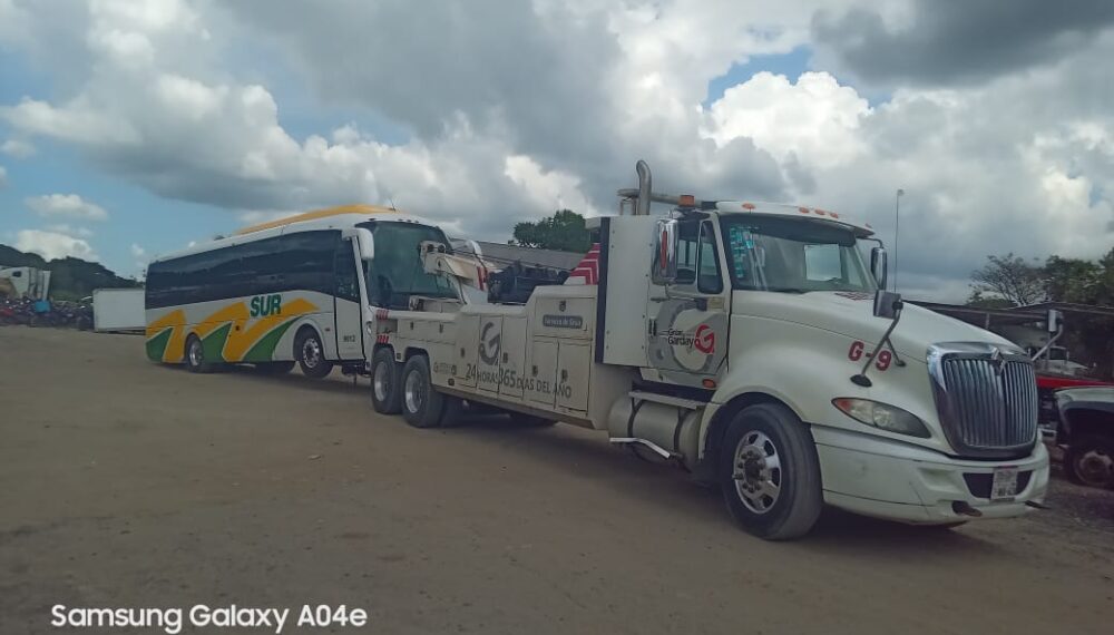 WhatsApp Image 2023-11-12 at 5.02.28 PM (2)